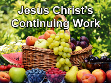 Jesus Christ’s Continuing Work